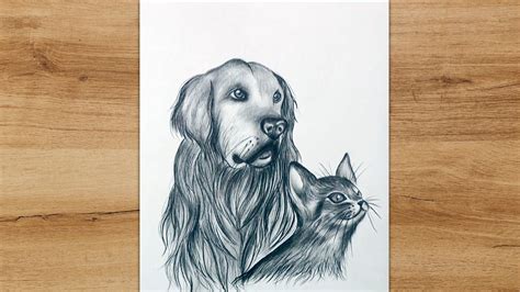 How to Draw Realistic Dog and Cat Step by Step | Pencil Sketch - YouTube