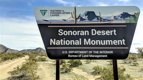 Sonoran Desert National Monument – Tales of a vanlife couple