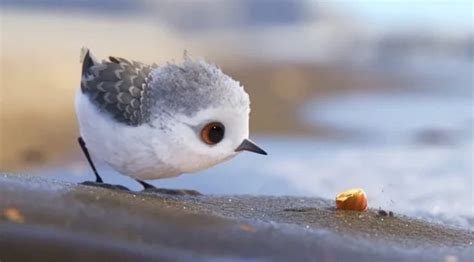 Pixar's Short Film 'Piper' Is Not Only Adorable It Has Inspiring Message Too