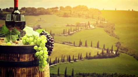 Desktop Wallpapers Tuscany Italy Wine cask Fields Grapes 3840x2160