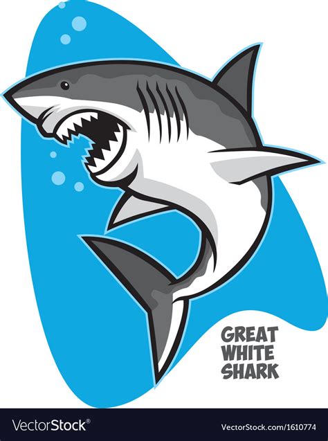 Great white shark Royalty Free Vector Image - VectorStock