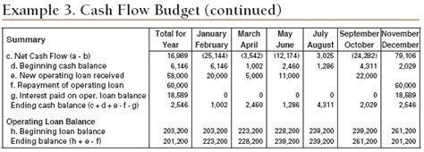 Twelve Steps to Cash Flow Budgeting | Ag Decision Maker