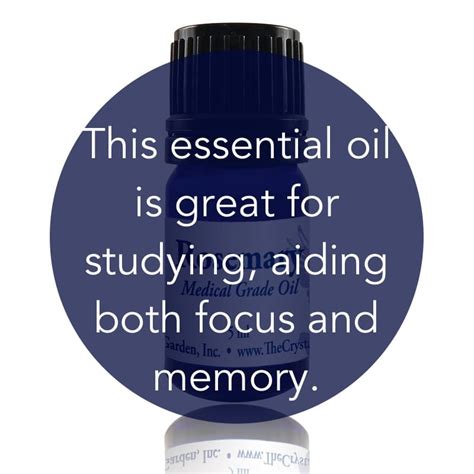 Rosemary Essential Oil - To aid in memory and focus