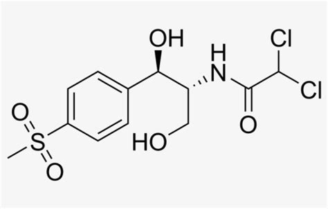 Thiamphenicol Stereo - Structure, HD Png Download - kindpng