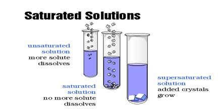 Experiment: Make Saturated and Unsaturated Solutions - QS Study