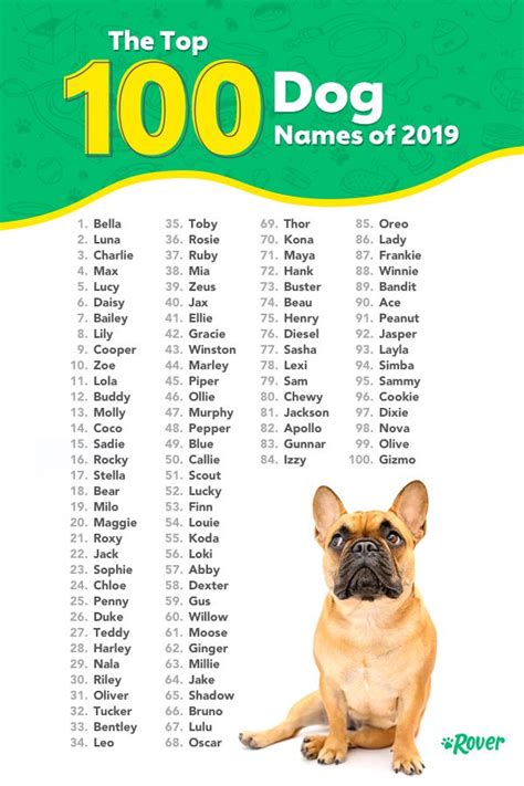 Most Popular Dog Names in the USA | Top dog names, Cute names for dogs ...