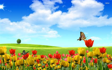 🔥 Download Funmozar Spring Flowers And Butterflies Wallpaper by ...