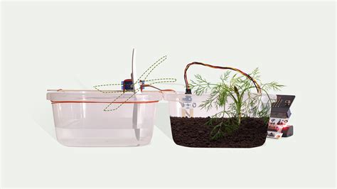 Make It: Plant watering system Project (plant, water system, soil ...