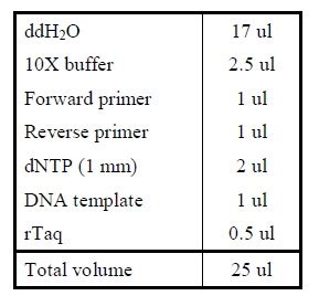 Team:Amsterdam/Notebook/Protocols/ColonyPCR - 2011.igem.org