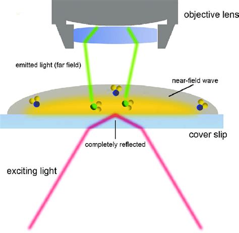 Near-field microscopy with the total internal reflection fluorescence... | Download Scientific ...