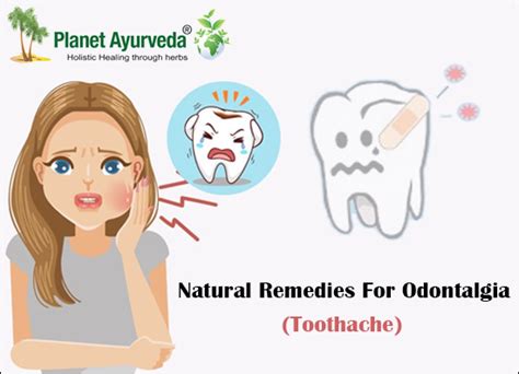 Natural Remedies For Odontalgia - Toothache