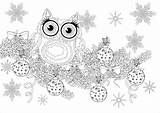 Cute Christmas Owl Coloring Pages sketch template