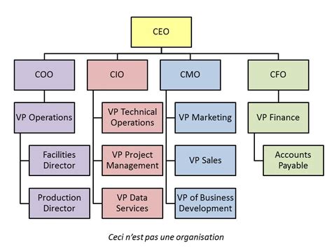 Seeing the True Picture of your Organization