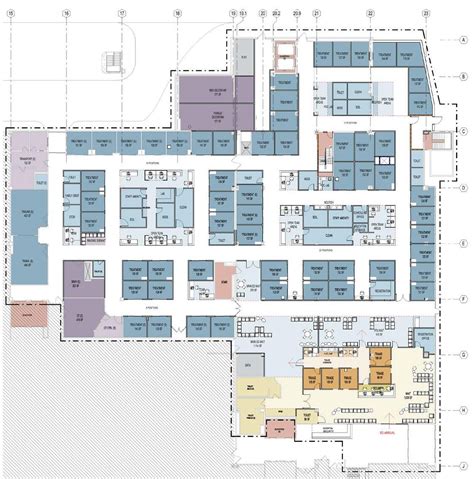 Emergency Department Master Planning | Array Architects