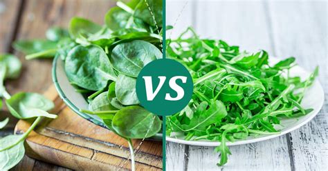 Arugula vs Spinach: Health Insights