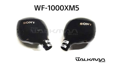 Sony WF-1000XM5 leak reveals new design - Android Authority