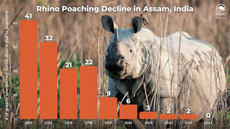 State of the Rhino Update: Kenya and India’s state of Assam report zero rhino poaching losses in ...