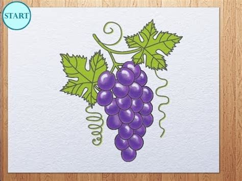 How to draw grape - YouTube