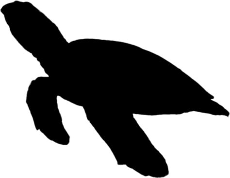 Download Sillhoute Turtle Png PNG Image with No Background - PNGkey.com