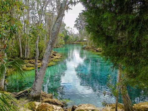 Experience Three Sisters Springs Kayaking