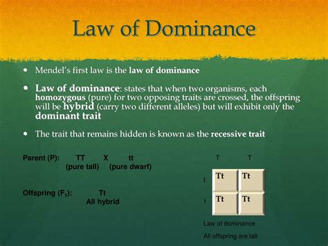 What Is The Law Of Dominance Mendel