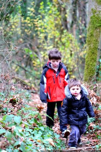 photo: trudging home through the woods - by seandreilinger