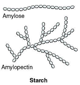 Difference Between Sugar and Starch – Pediaa.Com