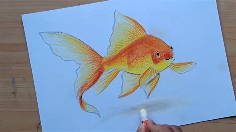 How to draw gold fish with oil pastel colour - YouTube