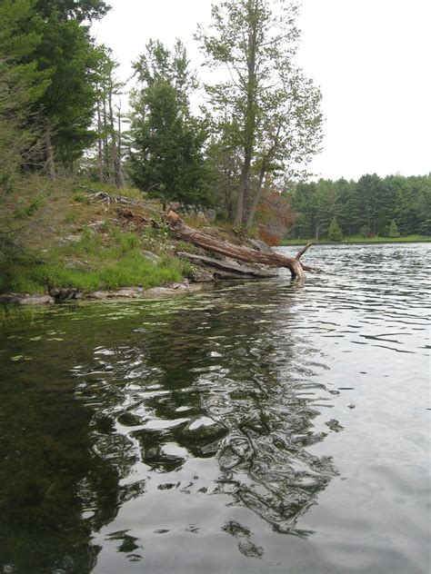 Charleston Lake Ontario | Places to visit, Lake ontario, Lake