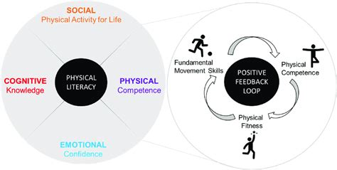 Physical Literacy model with a feed-forward physical domain. Physical... | Download Scientific ...