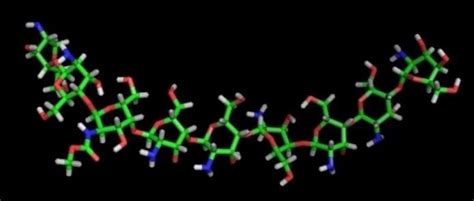 3D structure of chitosan oligomer as a macromolecule | Download Scientific Diagram