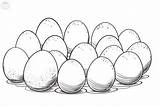 Eggs Coloring Pages sketch template