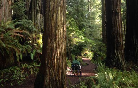 Walks and Hikes - Redwood National and State Parks (U.S. National Park Service)