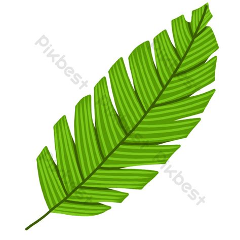 Green Palm Leaf PNG Images | PSD Free Download - Pikbest