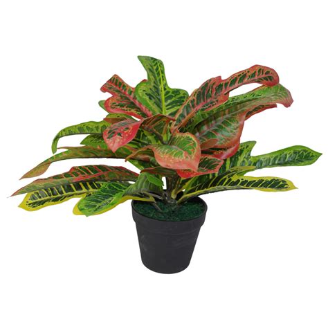 40cm Artificial Codiaeum Multicoloured House Plant - Small