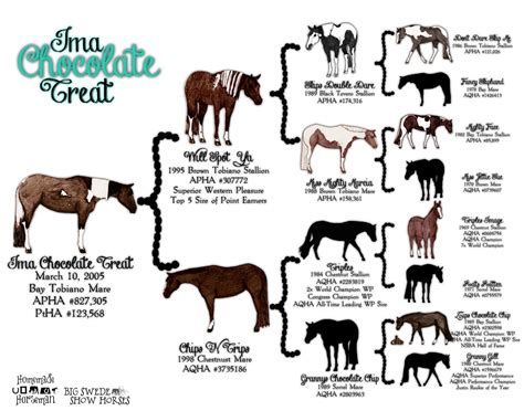 Stall Signs… | Pretty horses, Horse markings, Horse color chart