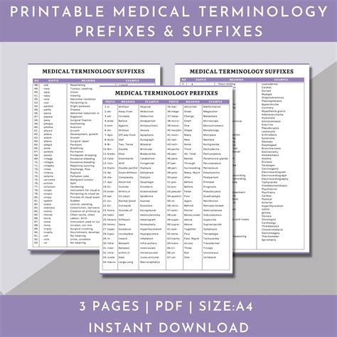 Medical Terminology Flashcards,medical Terminology Prefixes and ...