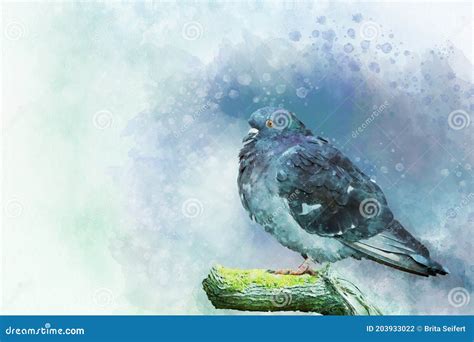 Portrait of a Pigeon Bird, Watercolor Painting. Bird Illustration Stock ...