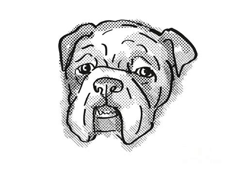 Bulldog Dog Breed Cartoon Retro Drawing Digital Art by Aloysius Patrimonio - Fine Art America