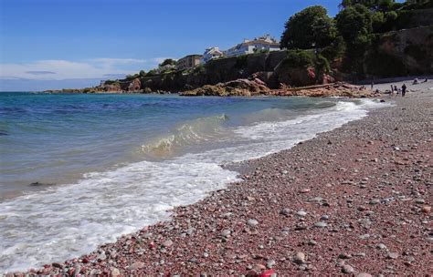 The Top 5 Best Beaches in Brixham - Quayside Hotel, Brixham