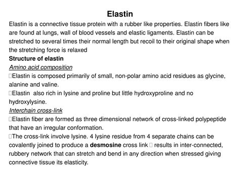 PPT - Fibrous proteins Collagen, elastin and keratin Functions ...