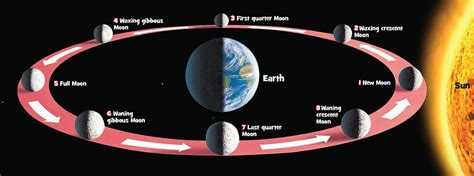 What is the ‘orbit’ shape of the moon | చంద్రుడి ‘ఆర్బిట్’ ఆకారం ఎలా ...