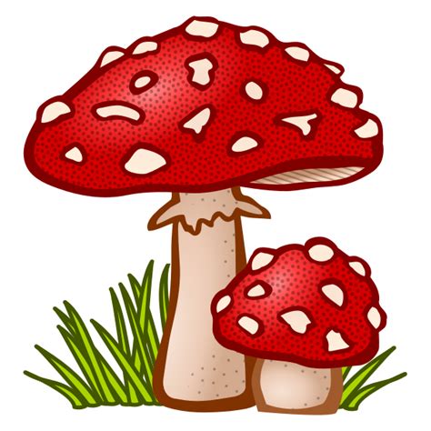 Colored toadstool | Free SVG