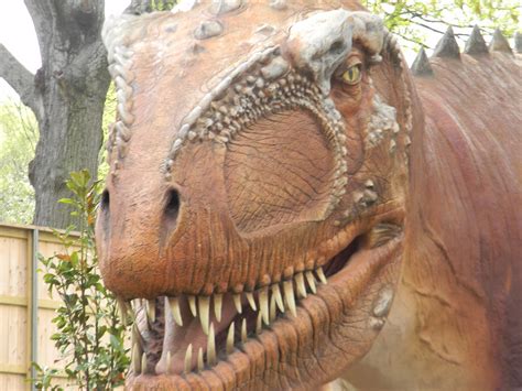 Mothers Of Memphis: Dinosaur Exhibit at the Memphis Zoo!! - My Review