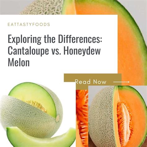 Exploring the Differences: Cantaloupe vs. Honeydew Melon - Eat Tasty Foods