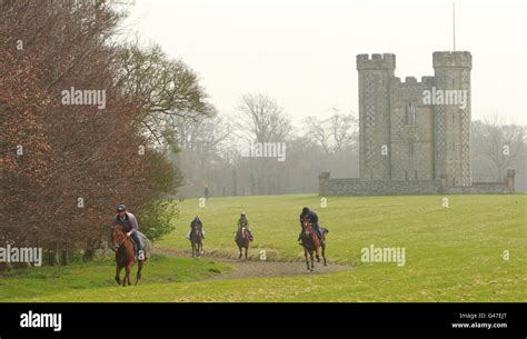 South Downs National Park Stock Photo - Alamy