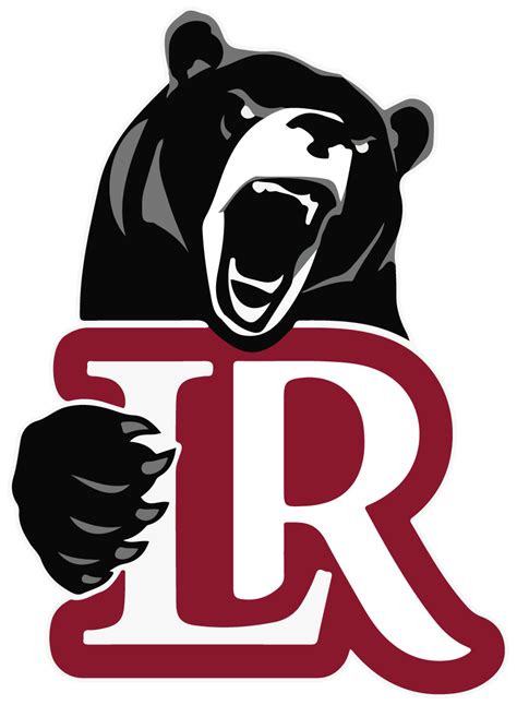 Lenoir–Rhyne Bears Color Codes Hex, RGB, and CMYK - Team Color Codes