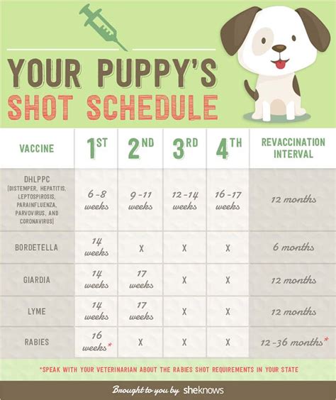 Dog Shot Schedule Chart Printable