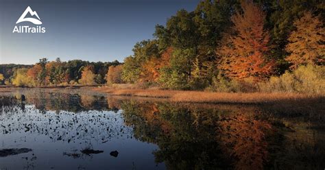 Best trails in Rockford, Michigan | AllTrails