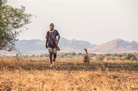 The Boy Who Harnessed the Wind Movie – Official Pictures : Teaser Trailer